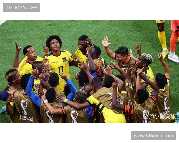 奥古拉归化海岸水手或战世界杯