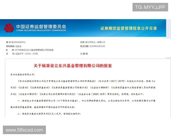 卢库米模式下的新博洛尼亚策略探索
