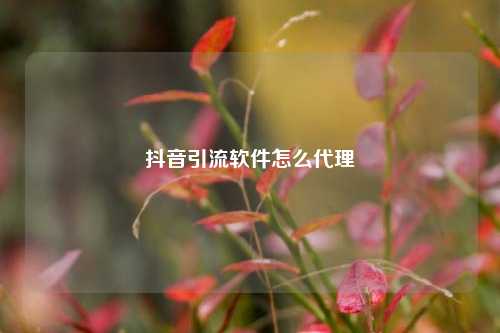 抖音引流软件怎么代理