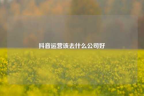 抖音运营该去什么公司好