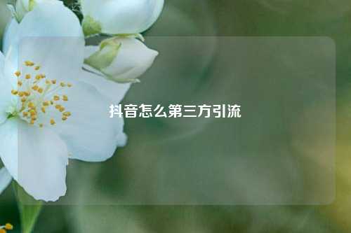 抖音怎么第三方引流