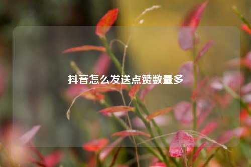 抖音怎么发送点赞数量多