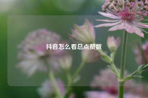 抖音怎么看总点赞数