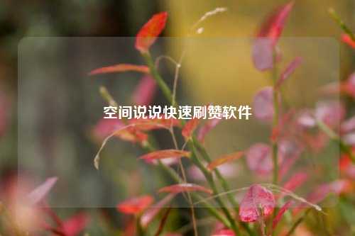 空间说说快速刷赞软件