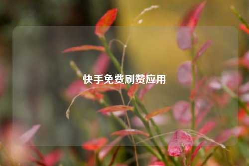 快手免费刷赞应用