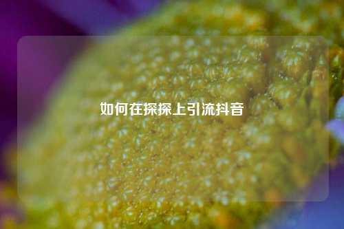 如何在探探上引流抖音