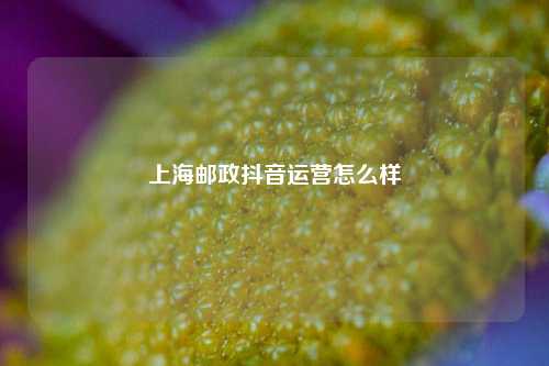 上海邮政抖音运营怎么样