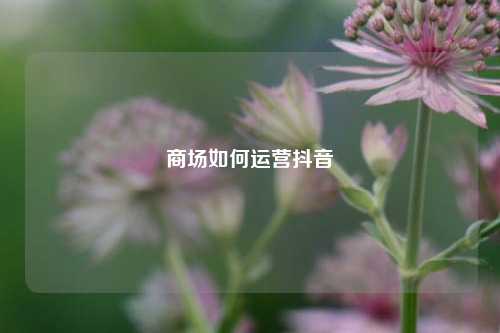 商场如何运营抖音