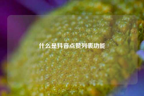 什么是抖音点赞列表功能