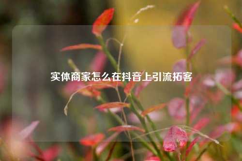 实体商家怎么在抖音上引流拓客