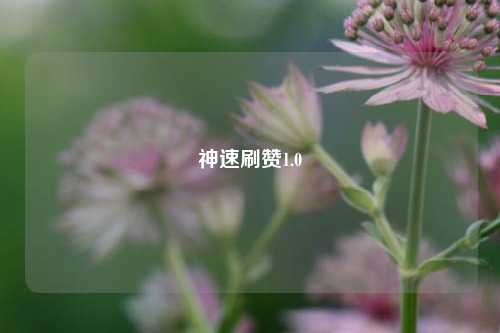 神速刷赞1.0