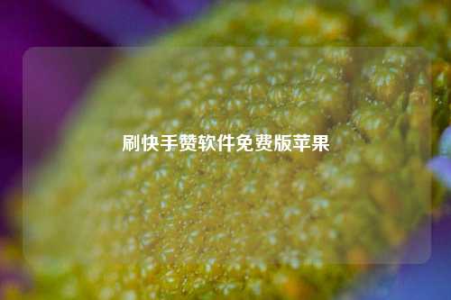 刷快手赞软件免费版苹果