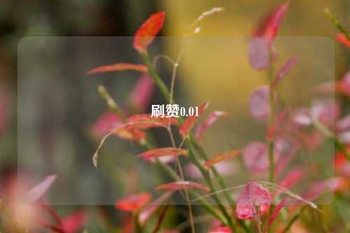 刷赞0.01